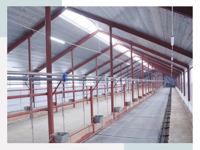 Строительство коровников в Альметьевске от 623 руб.