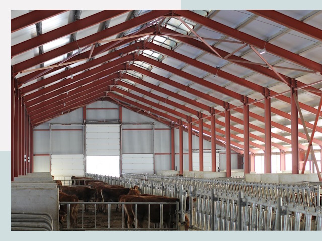 Строительство коровников в Альметьевске