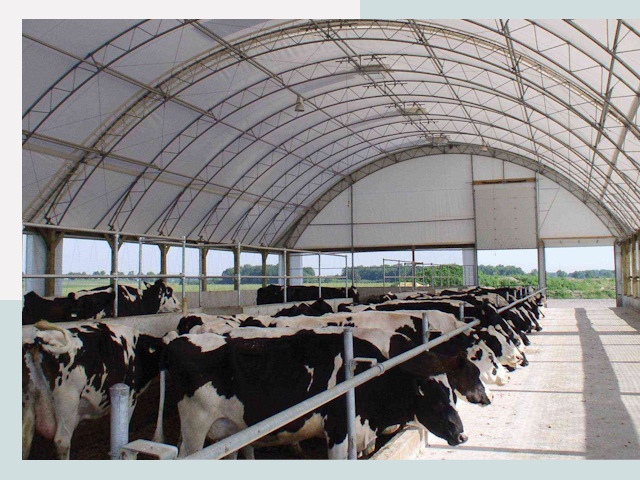 Тентовые коровники в Альметьевске